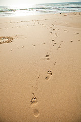 Image showing Footprints in sand