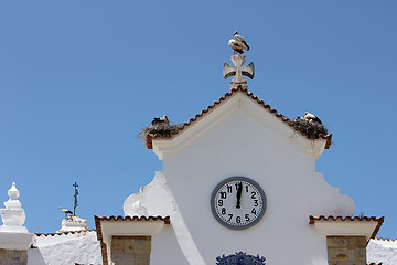 Image showing Storch,Stork