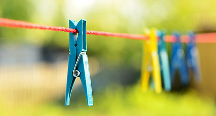 Image showing clothes pegs