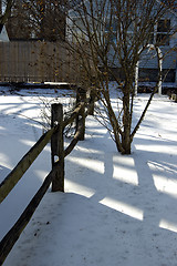 Image showing Snow Flakes