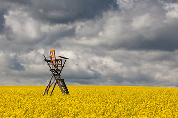 Image showing Hunting tower on the rape field