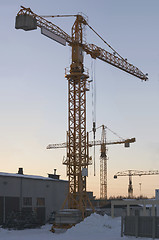 Image showing Cranes