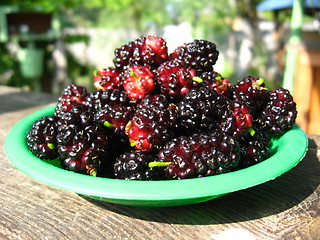 Image showing ripe dark berries of a mulberry on a plate