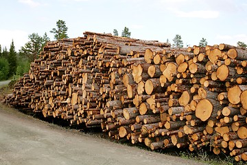 Image showing Timber