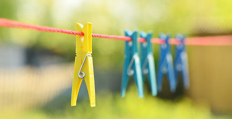 Image showing clothes pegs