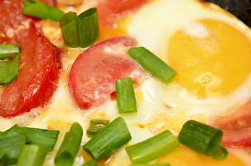 Image showing Fried egg with tomatoes and onion