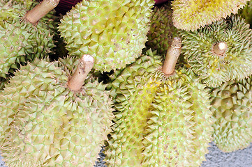 Image showing Durian fruits in Thailand 