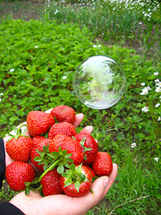 Image showing Palms full of strawberries and soap bubble