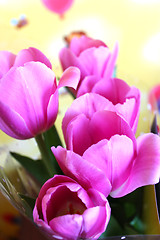 Image showing bouquet from tulips for a holiday on march, 8th