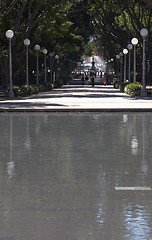 Image showing Hyde Park, Sydney Australia