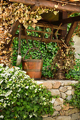 Image showing Old water well and a wooden bucket among ivy leaves