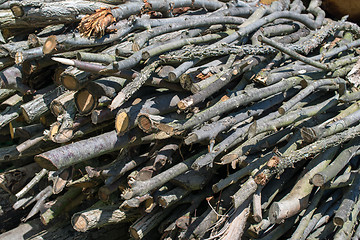 Image showing Woodpile