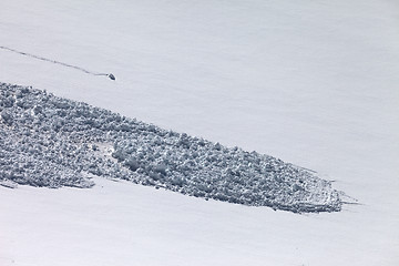 Image showing Snow slope with trace of avalanche