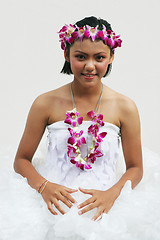 Image showing Orchid princess from Thailand