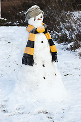 Image showing Snowman