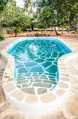 Image showing Swimming pool in African Garden