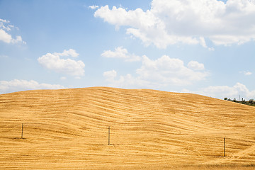 Image showing Country in Tuscany