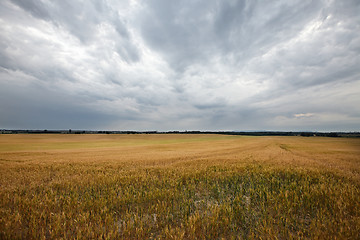 Image showing Field