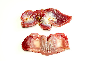 Image showing chicken stomach