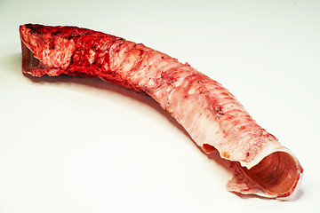 Image showing cow throat, dog barf food