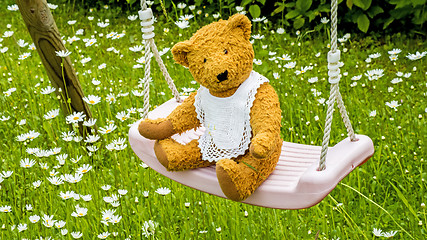 Image showing Teddy bear on swing