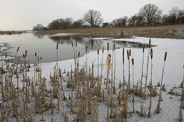 Image showing Frozen pond