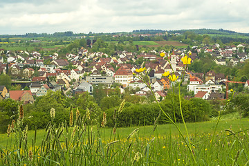 Image showing village in the green