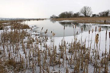 Image showing cold day