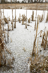 Image showing Frozen pond