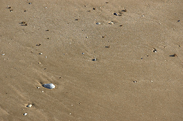 Image showing Texture-beach