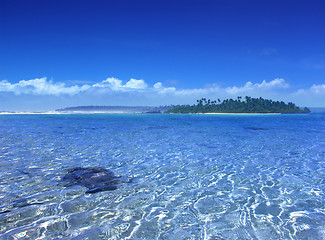 Image showing Glistening Ripples