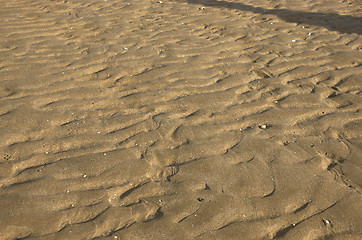 Image showing Sand ripples