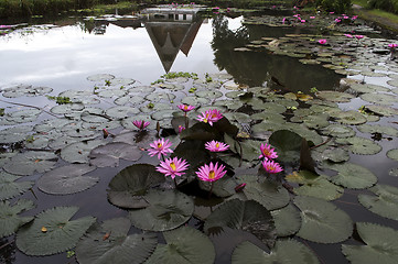 Image showing Mirror Reflexion.