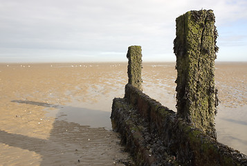 Image showing seaside