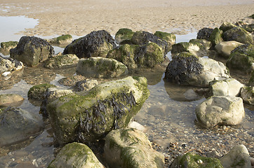 Image showing Rock pool