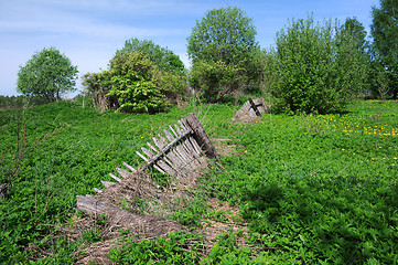 Image showing Old Broken Fence and Vegetation