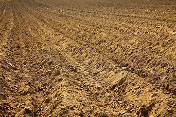 Image showing Soil