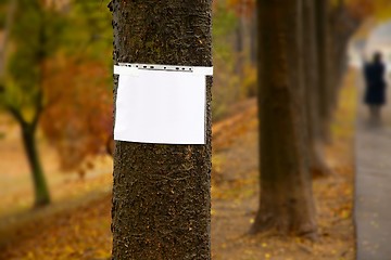 Image showing Blank Sign