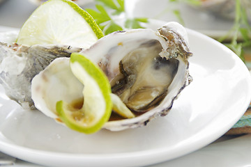 Image showing Lime And Soy Sauces Oysters