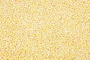 Image showing yellow millet close up as background 