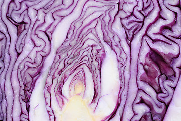 Image showing Slices of violet cabbage  close up as  background 