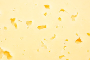 Image showing Background of fresh yellow cheese with holes  