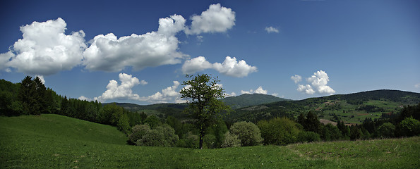 Image showing Hills And Fields