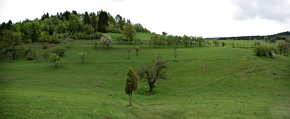 Image showing Hills And Fields