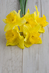 Image showing Jonquil flowers