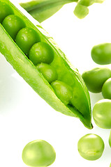 Image showing Fresh green pea pod