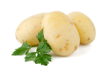 Image showing New potatoes and green parsley