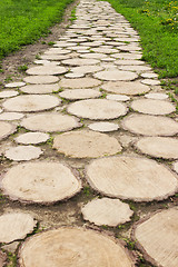 Image showing Footpath in the Museum of Wooden Masterpieces in Suzdal, Russia