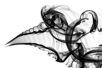 Image showing Abstraction: white smoke pattern and curves on white