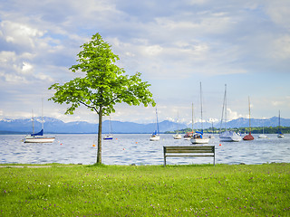 Image showing tree at the lake